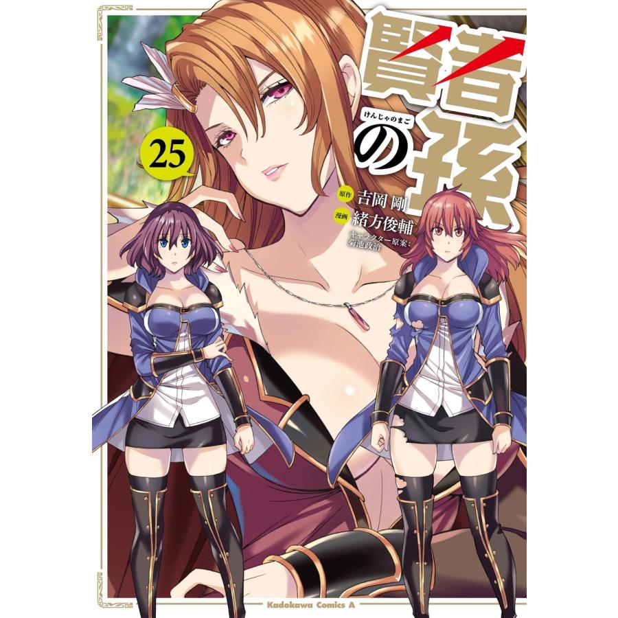 吉岡剛 賢者の孫 (25) (25) COMIC | 