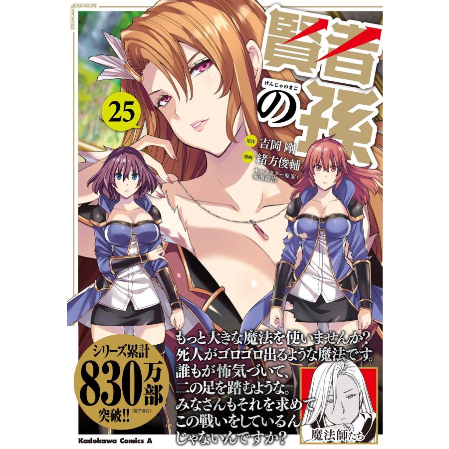 吉岡剛 賢者の孫 (25) (25) COMIC |  | 01