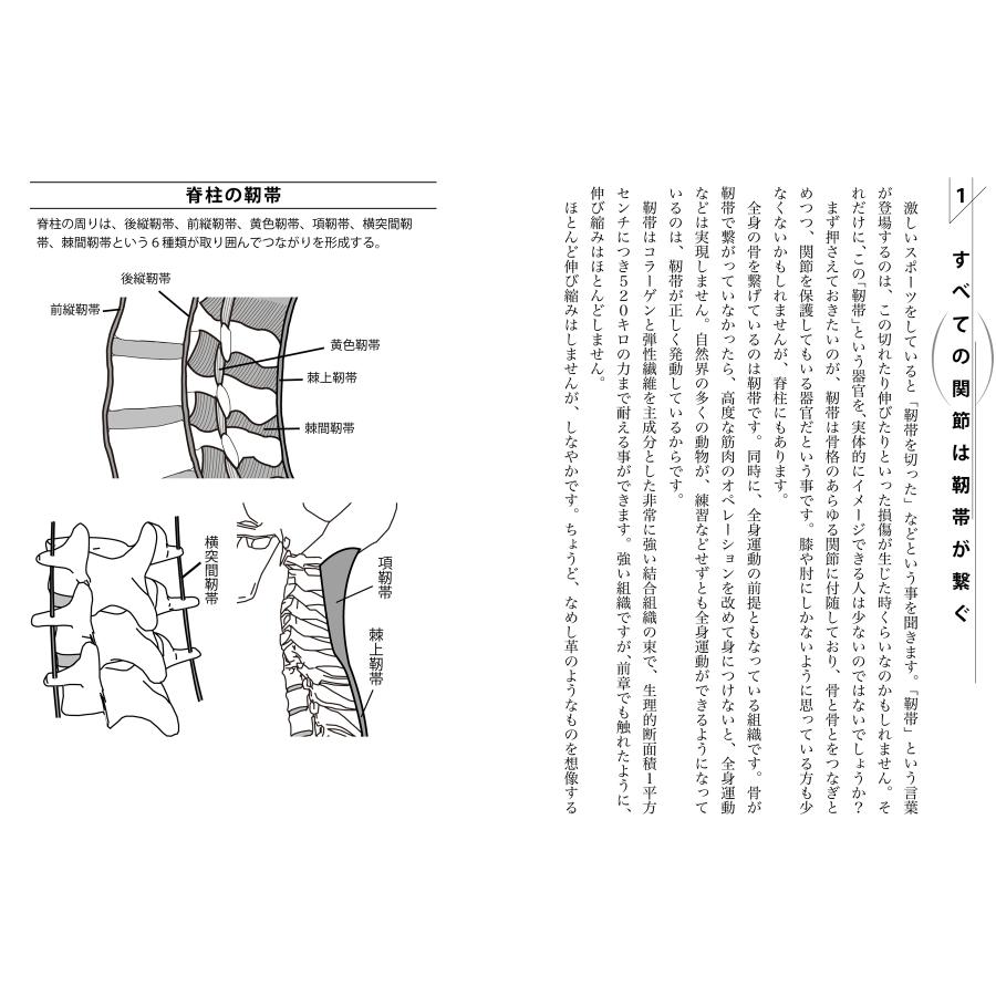 加藤久弦 靭トレ ?全身の靭帯を発動させる!? 筋肉を使わずに強さ・速さ・精確さを実現するトレーニング Book |  | 01