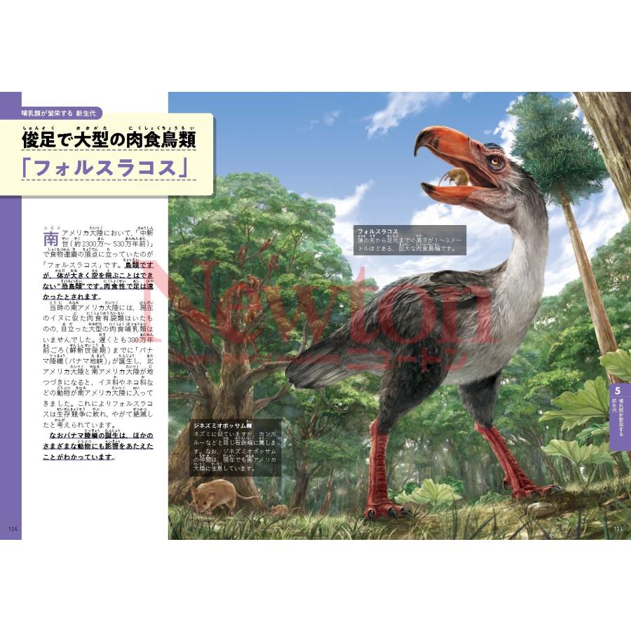 甲能直樹 超絵解本 古生物のせかい 奇妙な生き物のオンパレード Book |  | 03