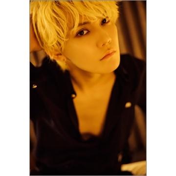 今井文也 今井文也写真集concept? Mook |  | 03