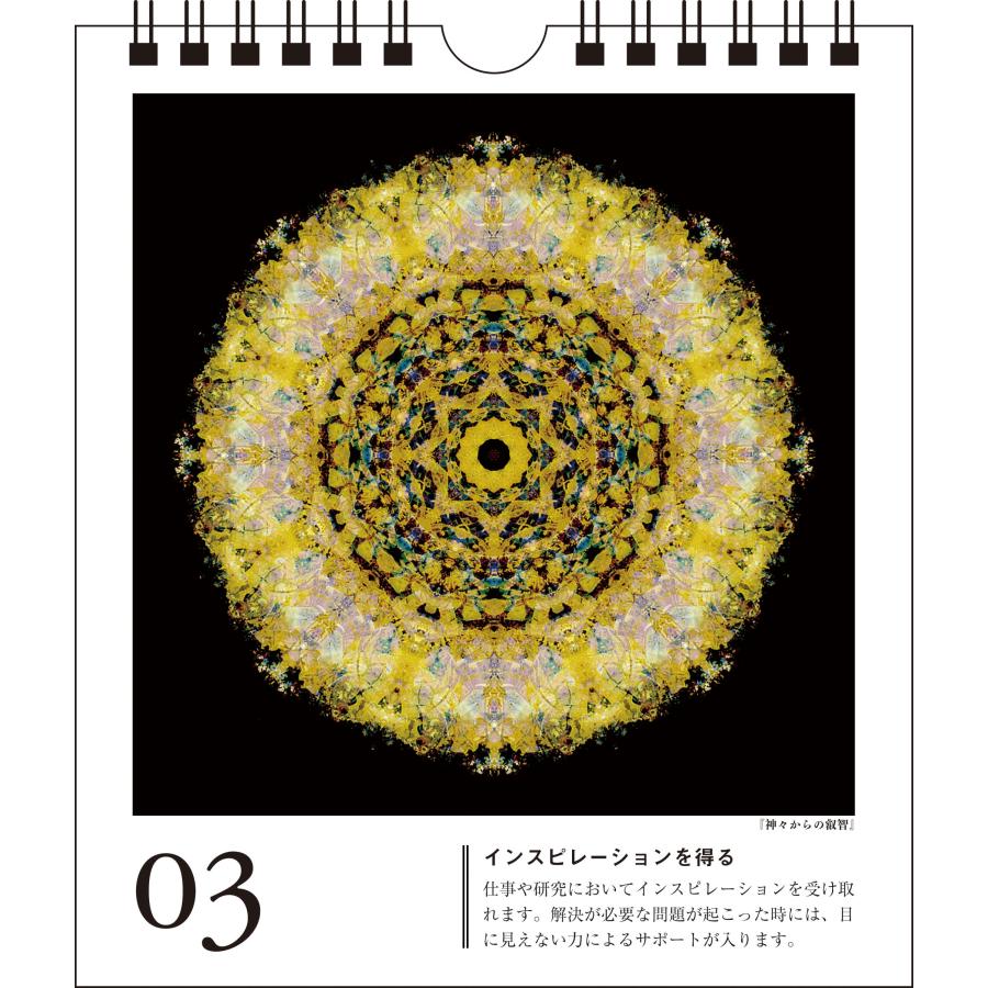 丸山修寛 開運! 日めくりクスリ絵 見るだけで運気が上がる Book |  | 03