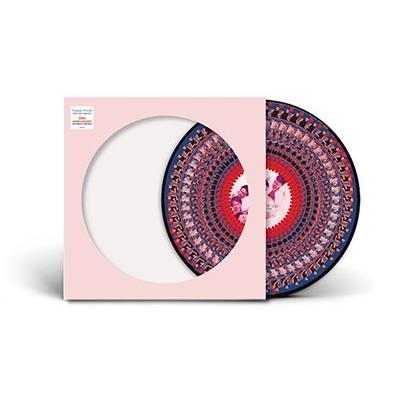 Take That Everything Changes＜完全生産限定盤/Zoetrope Picture Vinyl＞ LP |  | 01