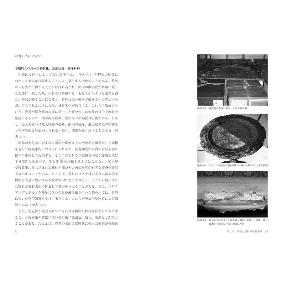 神庭信幸 博物館資料の臨床保存学 Book |  | 02