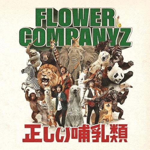 フラワーカンパニーズ 正しい哺乳類 CD : タワーレコード Yahoo!店