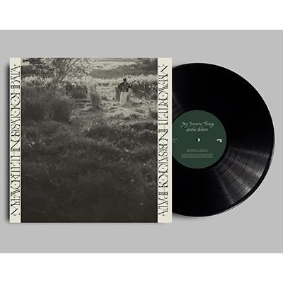 柴田聡子 My Favorite Things LP | 