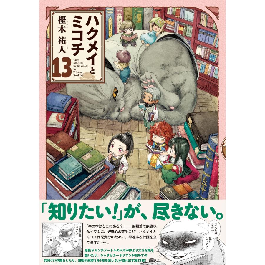 樫木祐人 ハクメイとミコチ 13巻 COMIC : タワーレコード Yahoo!店