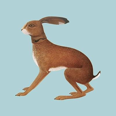 Vashti Bunyan Lookaftering (Expanded Edition) LP : タワーレコード