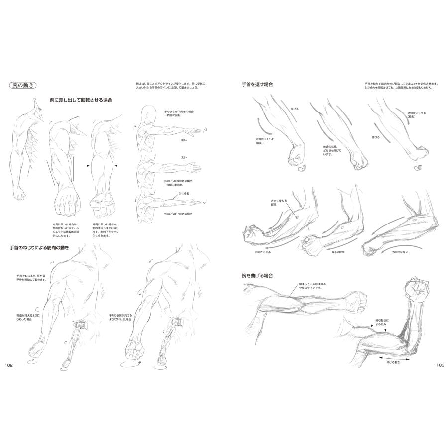林晃 新装版 スーパーマンガデッサン 作画のための考えるデッサン Book