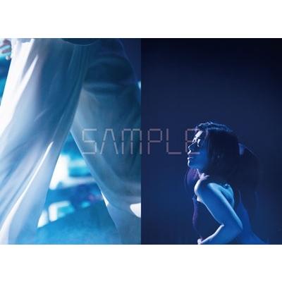 宇多田ヒカル HIKARU UTADA SCIENCE FICTION TOUR 2024 NINE STORIES Book |  | 16
