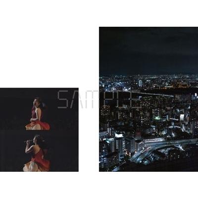 宇多田ヒカル HIKARU UTADA SCIENCE FICTION TOUR 2024 NINE STORIES Book |  | 19