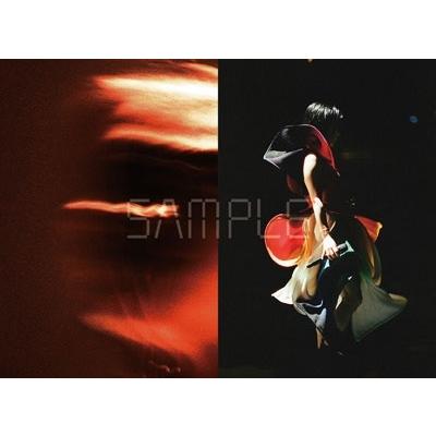宇多田ヒカル HIKARU UTADA SCIENCE FICTION TOUR 2024 NINE STORIES Book |  | 20