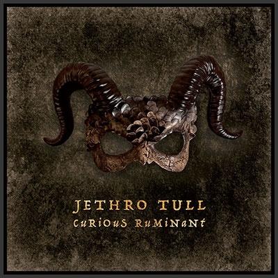 Jethro Tull Curious Ruminant (Special Edition) CD | 
