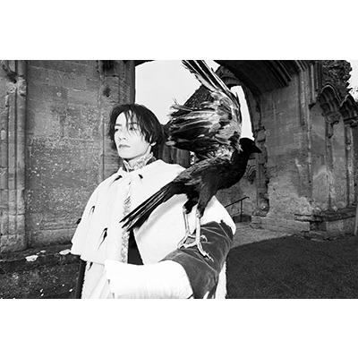 川村壱馬 川村壱馬 2ndフォトエッセイ『PROMISE』 Book |  | 01