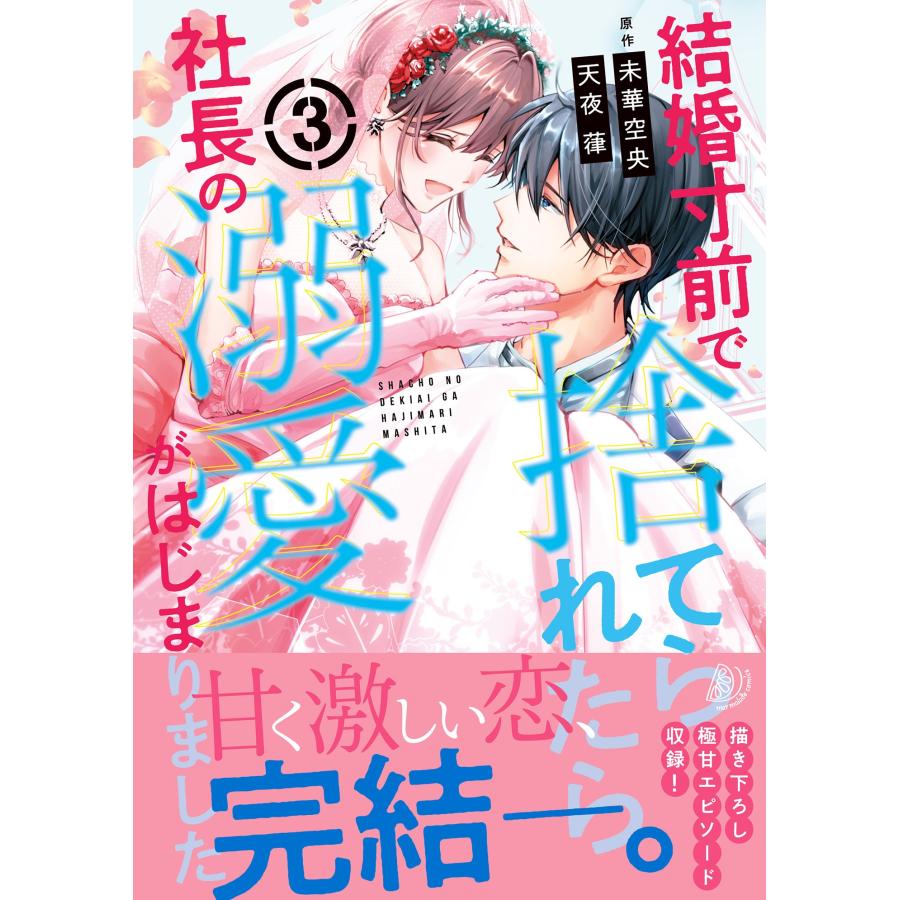 天夜葎 結婚寸前で捨てられたら社長の溺愛がはじまりました3 Book | 