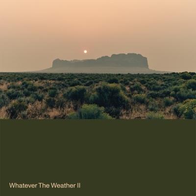 Whatever The Weather Whatever The Weather II＜Dark Green Vinyl＞ LP | 