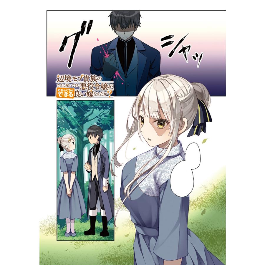 tera 辺境モブ貴族のウチに嫁いできた悪役令嬢が、めちゃくちゃできる良い嫁なんだが? 1 (1) COMIC |  | 02