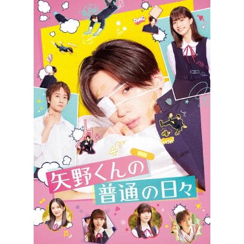 矢野くんの普通の日々 DVD | 