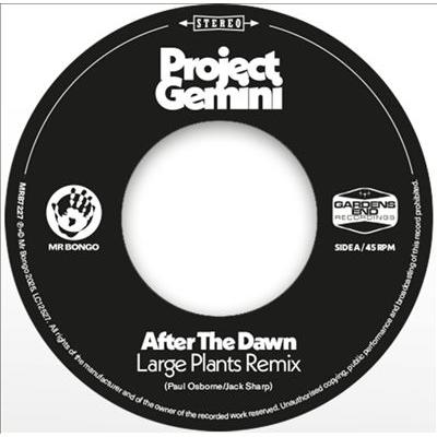 Project Gemini After The Dawn (Large Plants Remix) / Darkness Rising 7inch Single | 