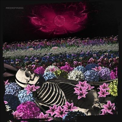 The Dead Rabbitts Redefined CD | 