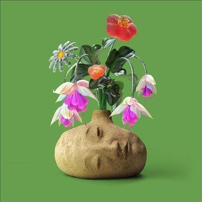 Elephant Gym Dreams＜限定盤/Flower Petal Fuschia Vinyl＞ LP | 