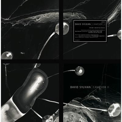 David Sylvian Camphor II＜Colored Vinyl＞ LP | 
