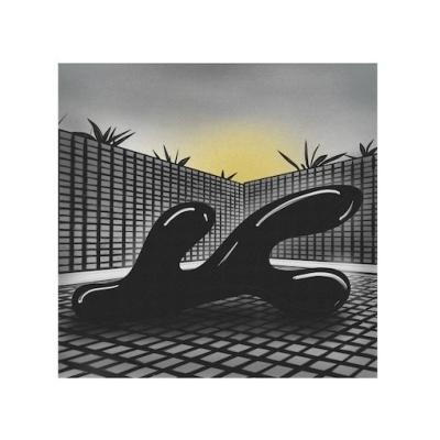 OGRE YOU ASSHOLE 自然とコンピューター＜数量限定盤＞ LP | 