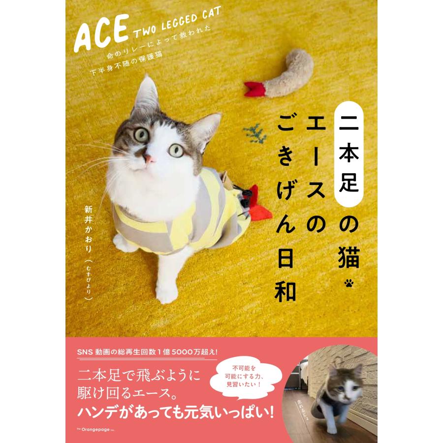 新井かおり(むすびより) 二本足の猫・エースのごきげん日和 Book | 