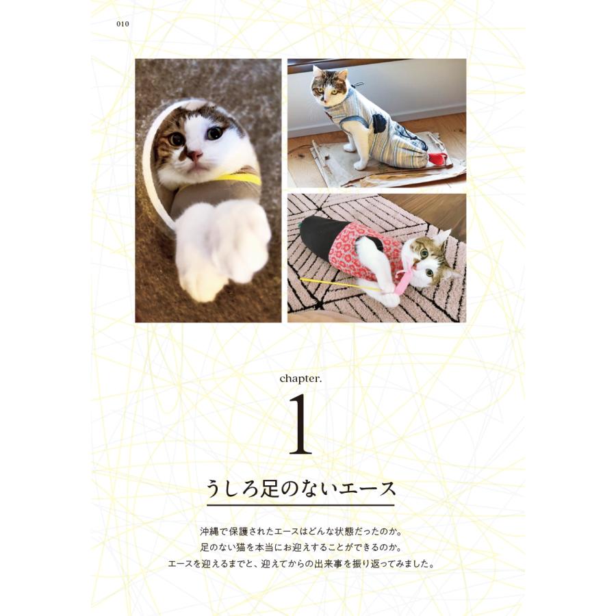 新井かおり(むすびより) 二本足の猫・エースのごきげん日和 Book |  | 01