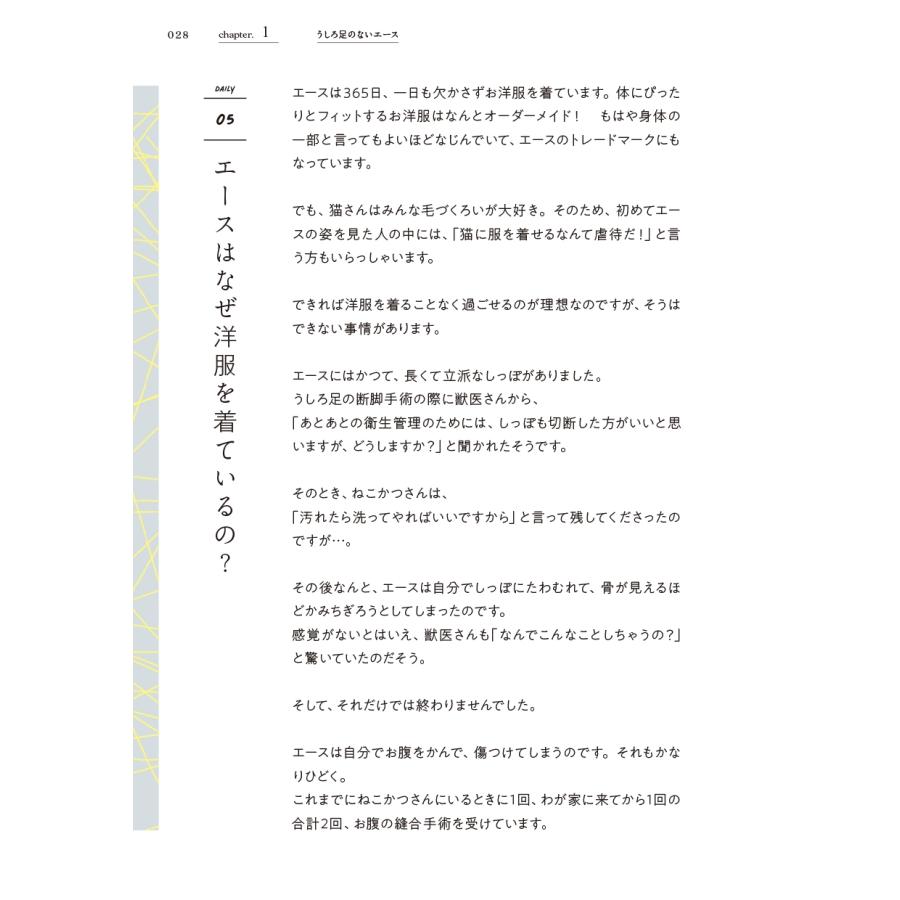 新井かおり(むすびより) 二本足の猫・エースのごきげん日和 Book |  | 03