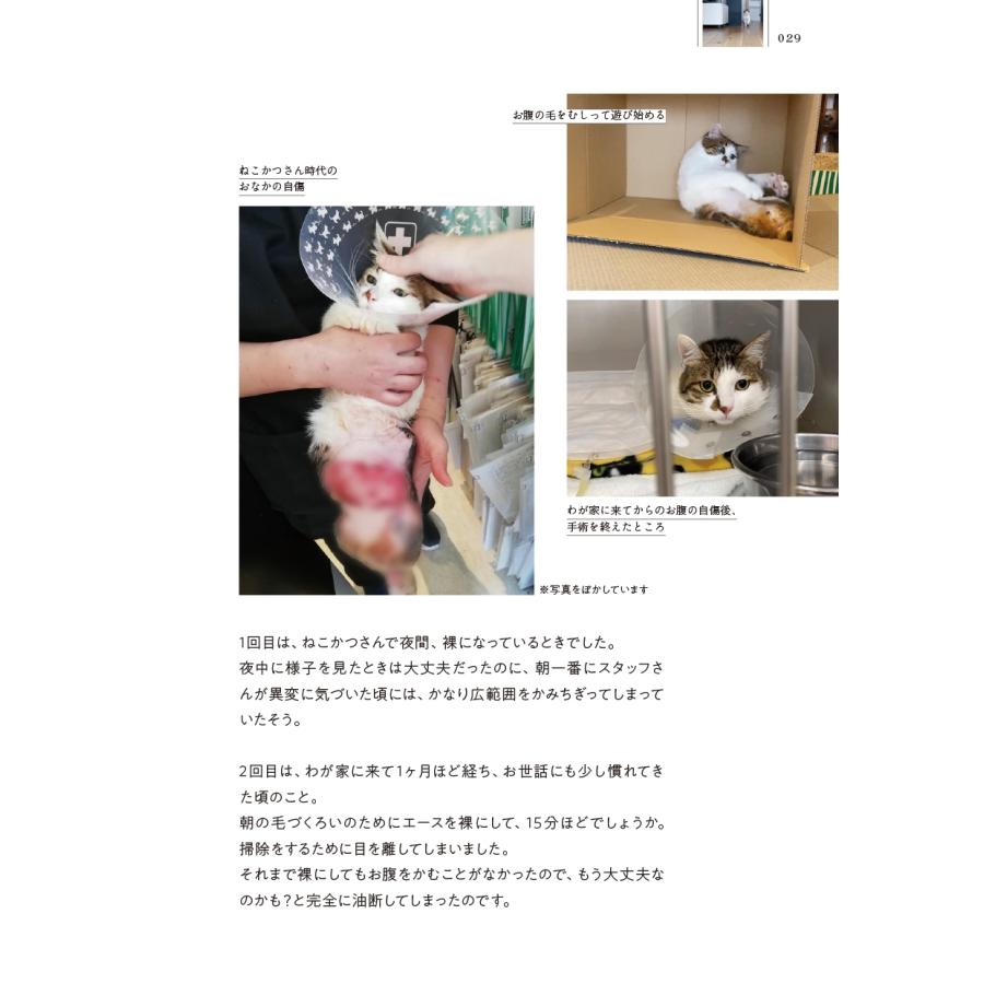 新井かおり(むすびより) 二本足の猫・エースのごきげん日和 Book |  | 04