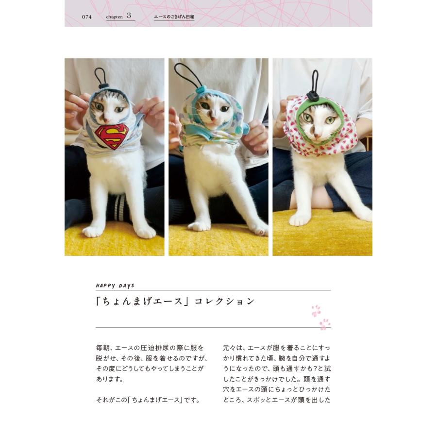 新井かおり(むすびより) 二本足の猫・エースのごきげん日和 Book |  | 05