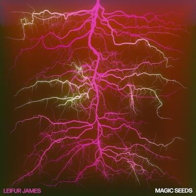 Leifur James Magic Seeds＜数量限定盤/Ruby Vinyl＞ LP | 