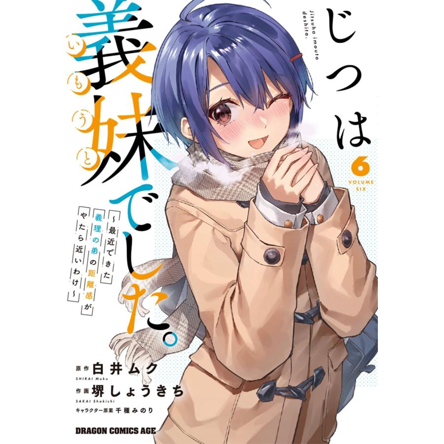 堺しょうきち じつは義妹でした。〜最近できた義理の弟の距離感がやたら近いわけ〜 6 COMIC | 
