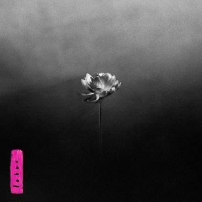 Little Simz Lotus＜タワーレコード限定/数量限定盤/Midnight Bloom Vinyl/日本語帯付き/解説書・歌詞対訳付き＞ LP |  | 01