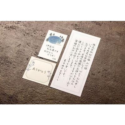 菅未里 もっと黒を愉しむ万年筆インク6色セットつき 万年筆のある毎日