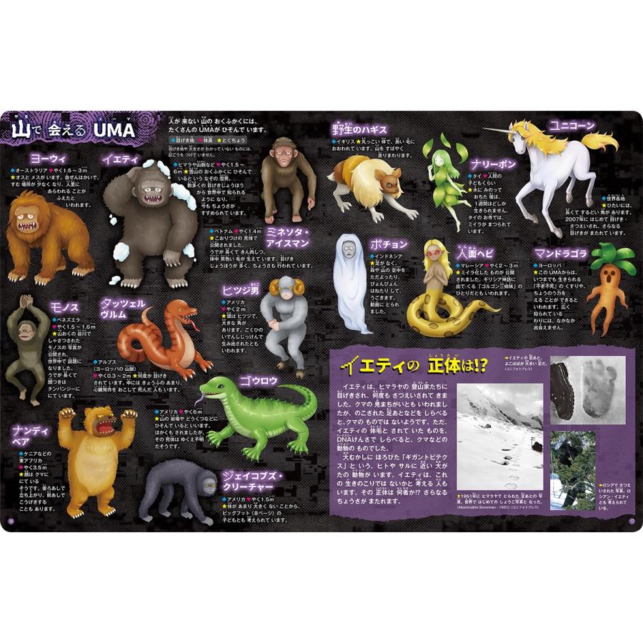 並木伸一郎 まぼろしの生き物 UMA Book |  | 05