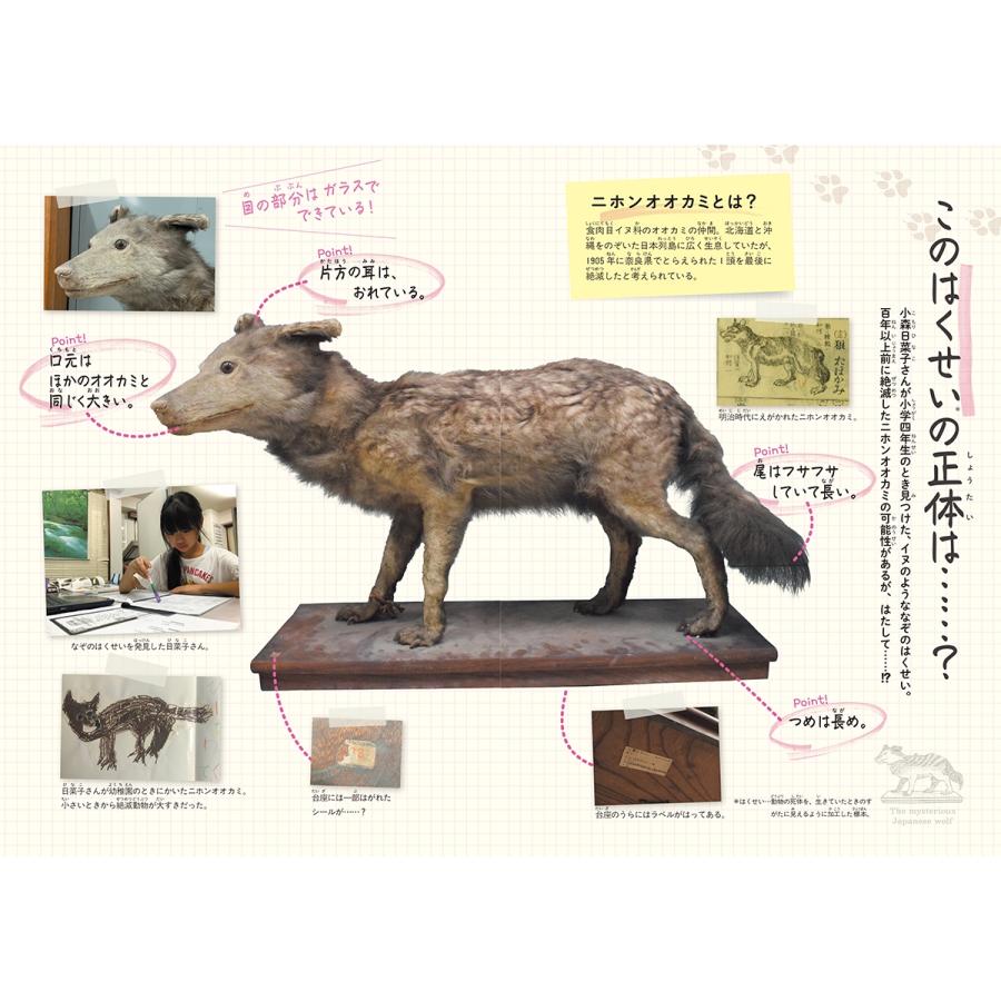 たけたにちほみ まぼろしの動物 ニホンオオカミ 小学生、なぞのはくせいの正体を追う Book |  | 02