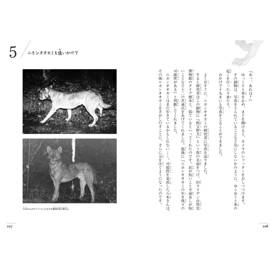 たけたにちほみ まぼろしの動物 ニホンオオカミ 小学生、なぞのはくせいの正体を追う Book |  | 05