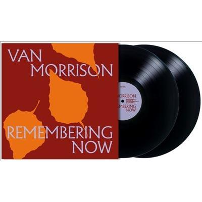 Van Morrison Remembering Now LP | 