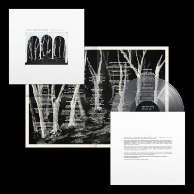 These New Puritans Crooked Wing＜数量限定盤/Clear Vinyl/Indie Exclusive＞ LP |  | 01