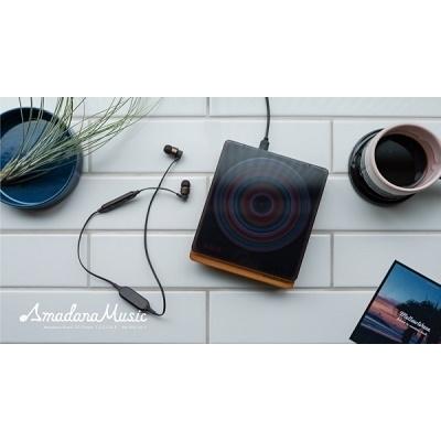 Amadana Music CDプレーヤー C.C.C.D.P. [Bluetooth対応・光デジタル