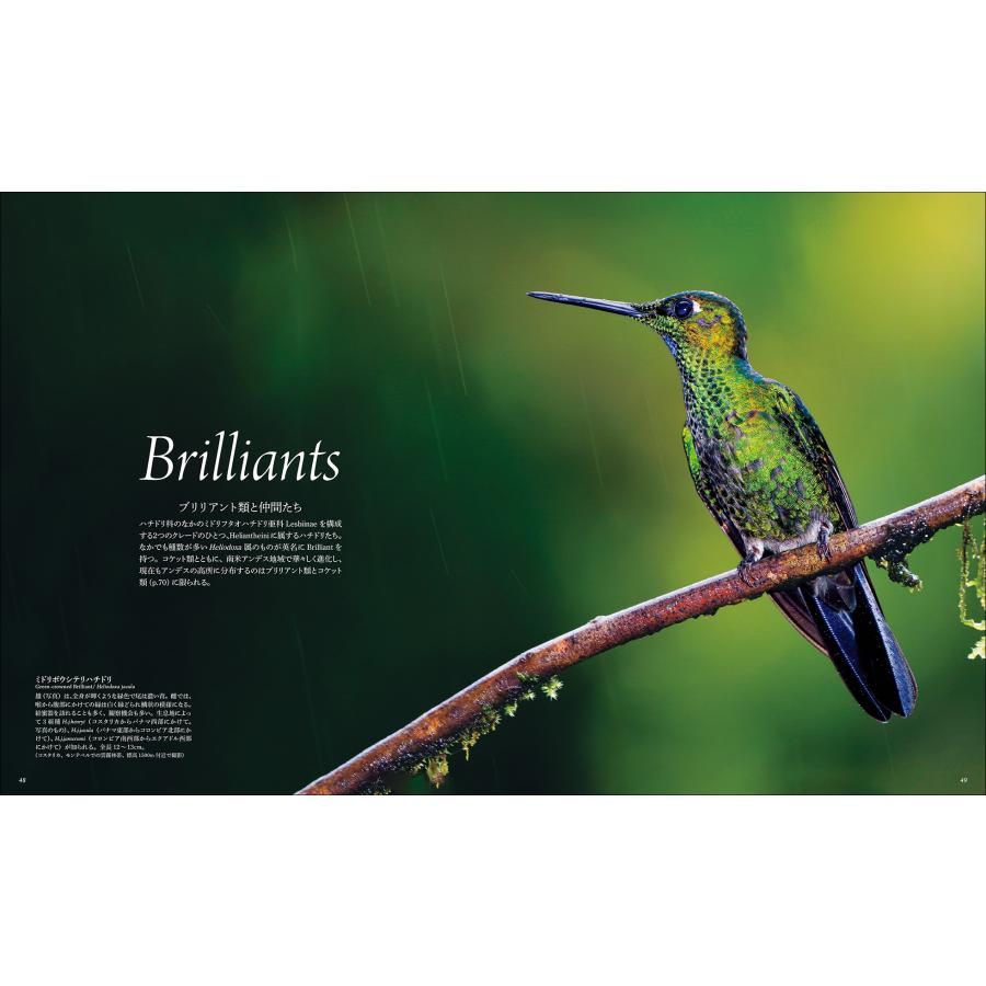 水口博也 世界で一番美しい ハチドリ図鑑 花を求め育んだ、高速で羽ばたく神秘的な姿 Book |  | 05