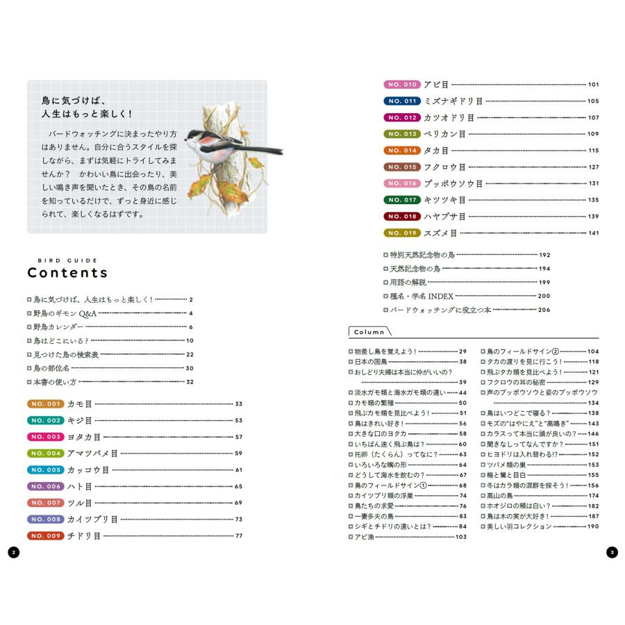 叶内拓哉 野鳥手帳 第2版 「あの鳥なに?」がわかります! Book |  | 03