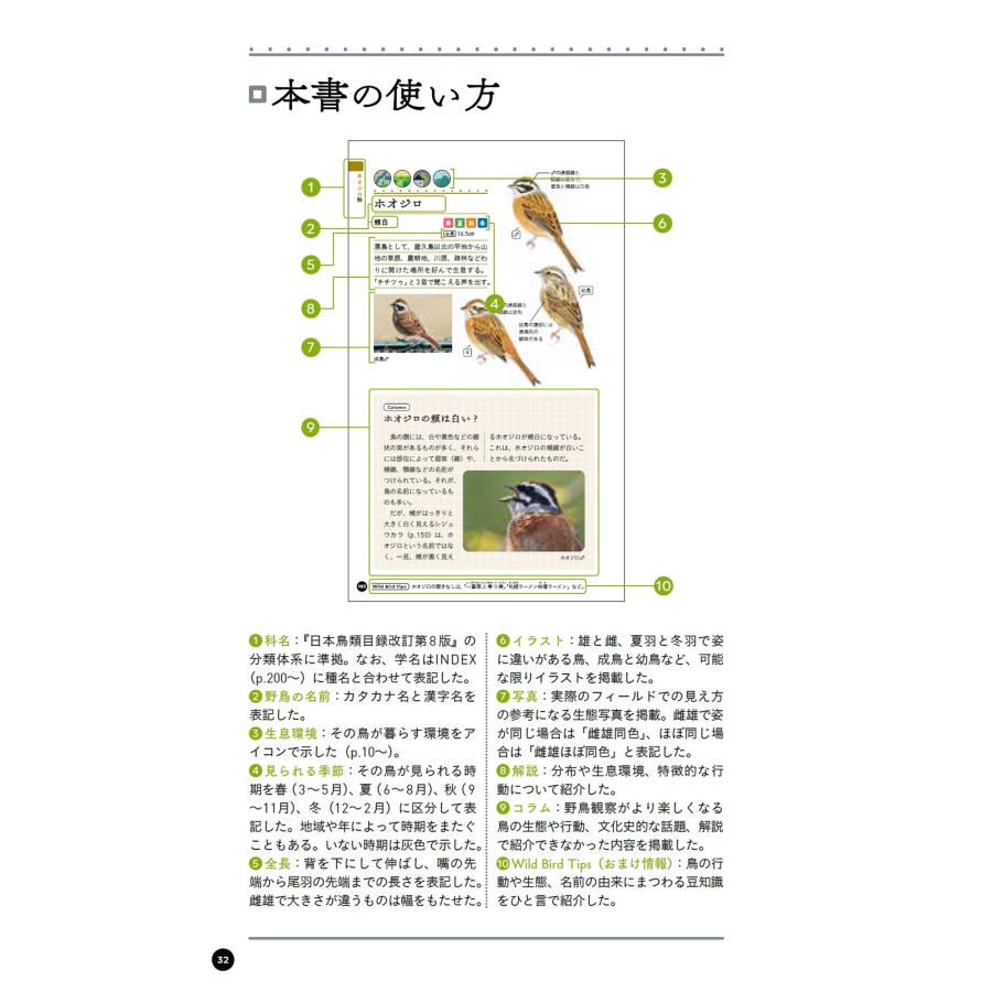 叶内拓哉 野鳥手帳 第2版 「あの鳥なに?」がわかります! Book |  | 04