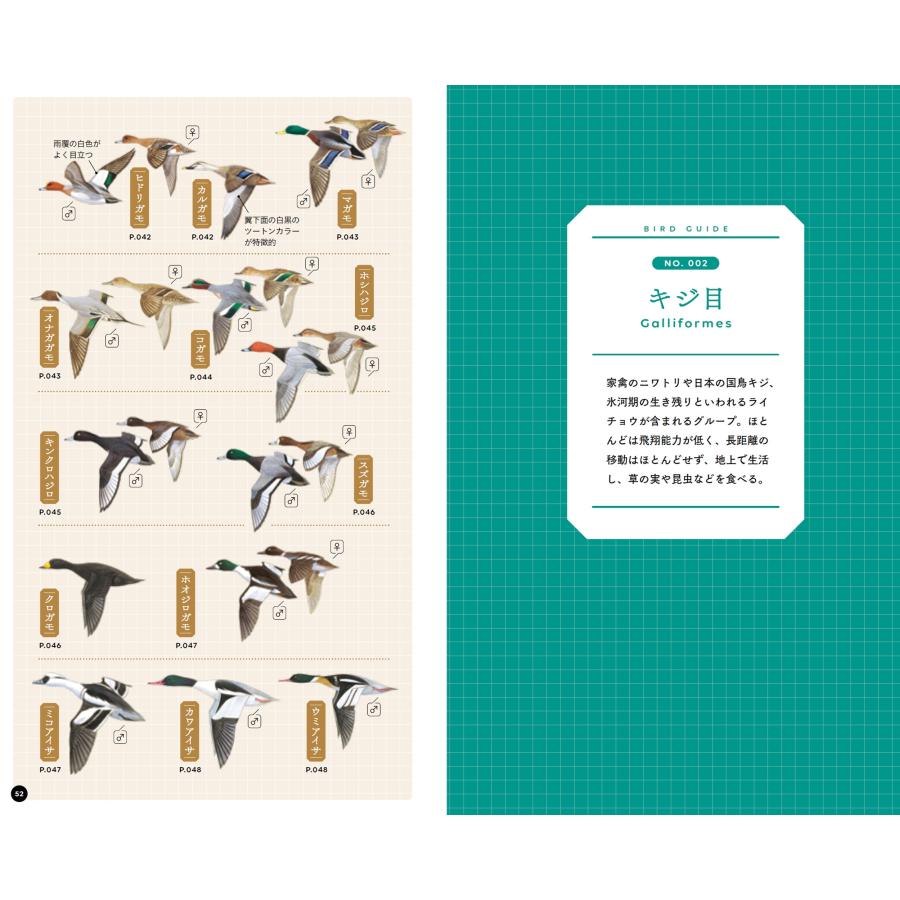 叶内拓哉 野鳥手帳 第2版 「あの鳥なに?」がわかります! Book |  | 05