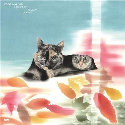 ゑでぃまぁこん Carpet Of Fallen Leaves＜限定盤＞ LP