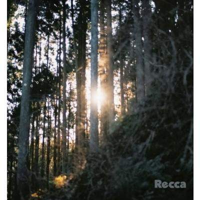 邦楽 recca cd 邦楽 MACKA ROCKA Zicca Picker '14, Vol. 3 Live in Shizuoka - Album