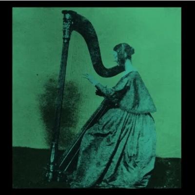 TV Girl Grapes Upon The Vine LP | 