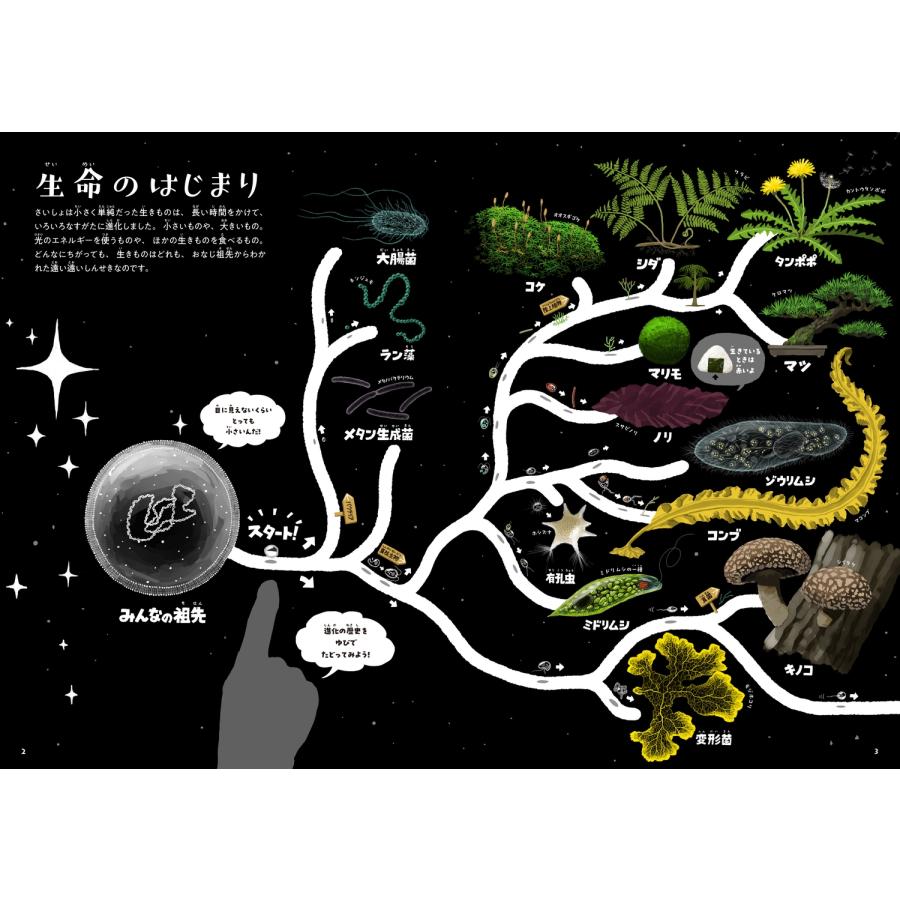 三上智之 ゆびでたどる進化のえほん Book |  | 01